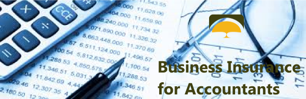 Small business liability insurance quote for accounting firm.