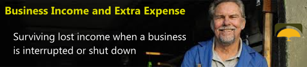 Business income insurance helps business owners replace lost revenue when their business is temporarily shut down.